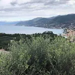 Acqua Marina