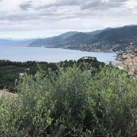 Acqua Marina