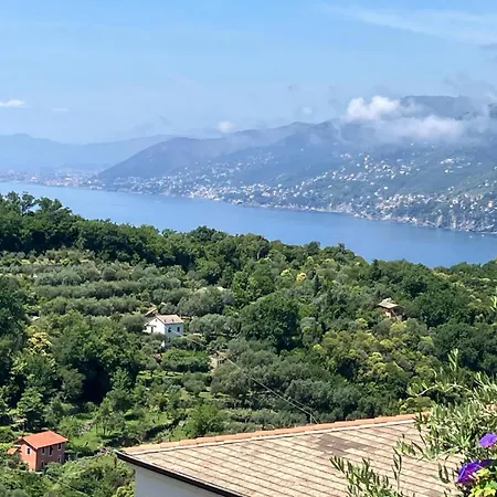 Acqua Marina Apartment